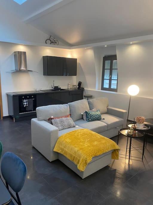 La Parenthese- Place Martroi- Vue- Clim Reversible Apartment Orleans